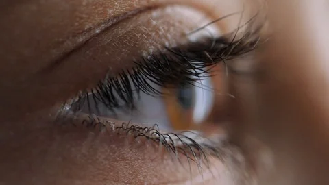 Macro view of brown pupil . Eye blinks. Retina close-up.  to watch,  observe 動画素材 115657946
