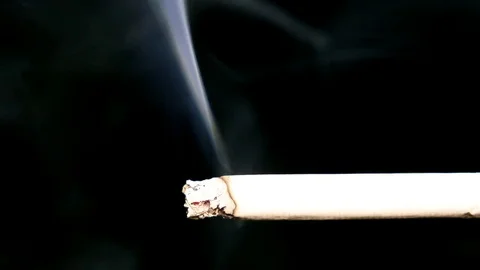 Macro View Of Burning Cigarette With Smoke. Stock Footage 84065833