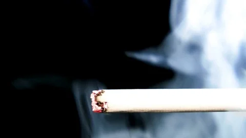 Macro View Of Burning Cigarette With Smoke. Stock Footage 84559103