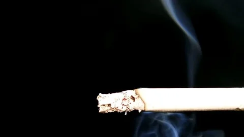 Macro View Of Burning Cigarette With Smoke. Stock Footage 84559924