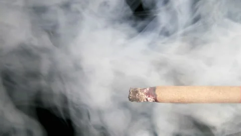 Macro View Of Burning Cigarette With Smoke. Stock Footage 85629993