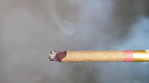 Macro View Of Burning Cigarette With Smoke. Stock Footage 85800140