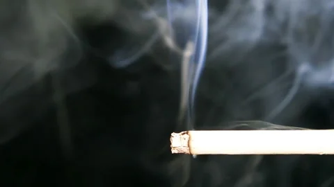 Macro View Of Burning Cigarette With Smoke. Stock Footage 86359750