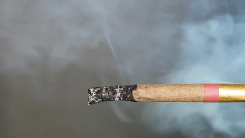 Macro View Of Burning Cigarette With Smoke. Stock Footage 86949714