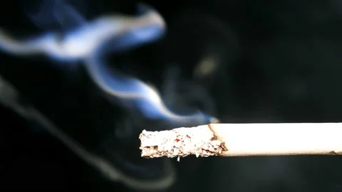 Macro View Of Burning Cigarette With Smoke. Stock Footage 87598605