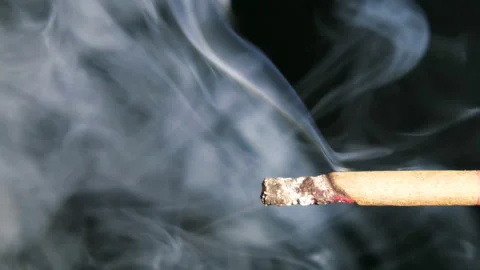 Macro View Of Burning Cigarette With Smoke. Stock Footage 88139131