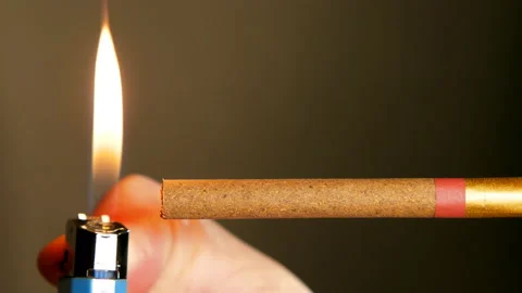 Macro View Of Burning Cigarette With Smoke. Stock Footage 88140292