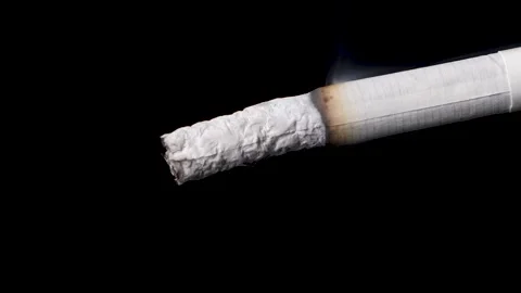 Macro view of burning cigarette with smoke, time lapse, isolated background. Video stock 147075168