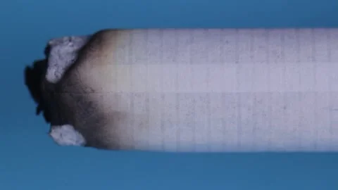 Macro view of burning cigarette. Time lapse Stock Footage 137737449
