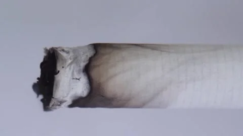 Macro view of burning cigarette. Time lapse Stock Footage 137737830