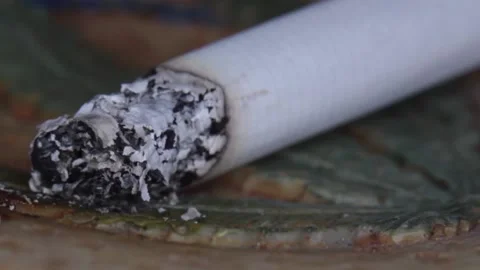Macro view of burning cigarette. Time lapse Stock Footage 137739182