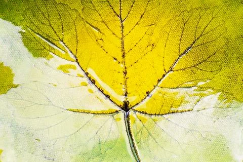 Macro view of ceramic plate with leaf imprint yellow green glaze texture Stock Photos