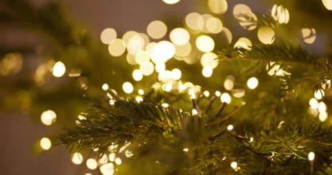 Macro View of Christmas Tree Lights Close-Up Stock Footage 329530467