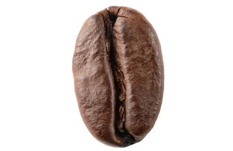 Macro view of coffee bean on white background. Single vertical coffee bean Stock Photos