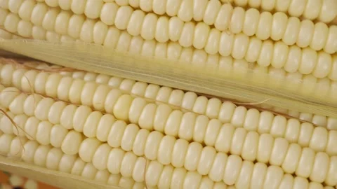 Macro view of a Cooked corn to prepare with mayonnaise Cheese and spicy chilli Stock Footage 280316770