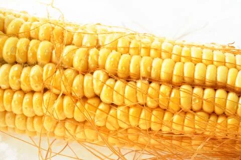 Macro view of corn cob Stock Photos