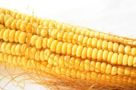 Macro view of corn cob Stock Photos