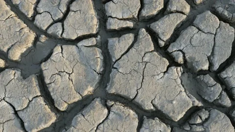 Macro view of dried and cracked earth that looks dead Stock Footage 94815555