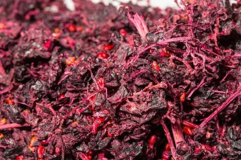Macro view of dried red grape scraps, showing the stalks and dried fruit. 스톡 사진