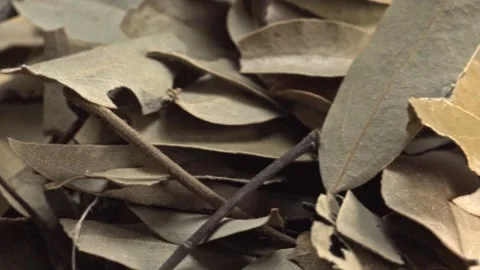 Macro View of Dried Spice Leaves and Stems Used in Food Preparation Stock Footage 345101225