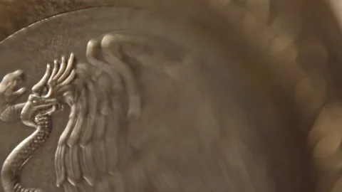 Macro View of Eagle and Snake Engraving on Coin Surface with Metallic Texture Stock Footage 338413881