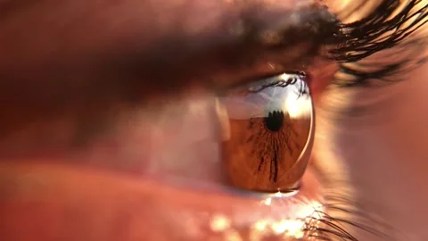 Macro view of eyelashes and iris shimmering with natural light revealing detail Video stock 319814314