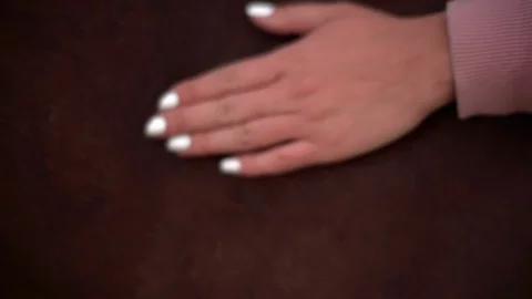 Macro view of female hand touching and stroking brown horse in slow motion Stock Footage 90226275
