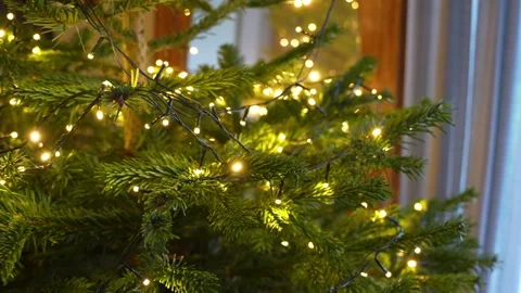 Macro view of fir needles wrapped in warm LED fairy lights by a window Stock Footage 325842813