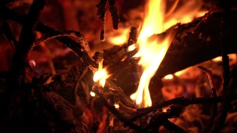 Macro view of Fireplace in the forest at night Stock Footage 141764601