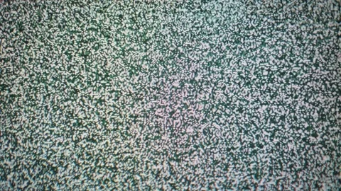 Macro View of Flickering TV Static Pixel Noise Texture Stock Footage 307685146
