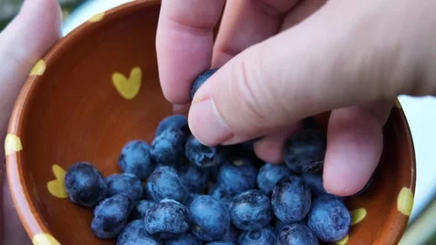 Macro view of fresh blueberries Stock Footage 346898450