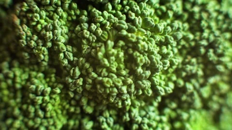 Macro view of fresh raw organic broccoli vegetable surface showing detailed.. Stock Footage 337154944