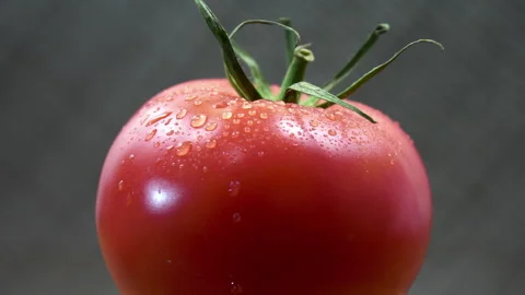 Macro View of Fresh Rotating Tomato with Condensation Water Droplets Vídeo Stock 344861184