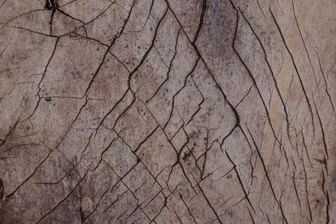 Macro view of geometric wood checking pattern. Abstract brown-grey distress.. Stock Photos