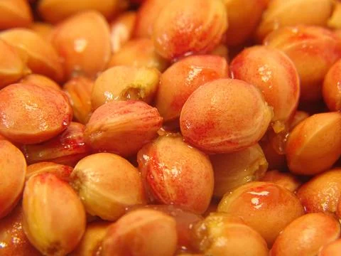 Macro view of glossy cherry pits with warm colors and natural fruit texture 写真素材