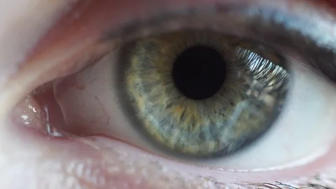 Macro view of a green female eye opening wide in surprise. Stock Footage 117674632