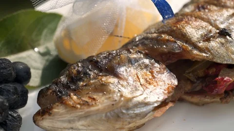 Macro view: Grill fresh and delicious trout fish. HD Видео 104062103