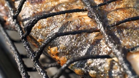 Macro view: Grilling fresh and delicious trout fish. HD Видео 104062500
