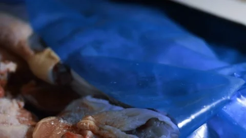 Macro view of hands in gloves opening a box full of frozen chicken legs. Frozen Stock Footage 145694774