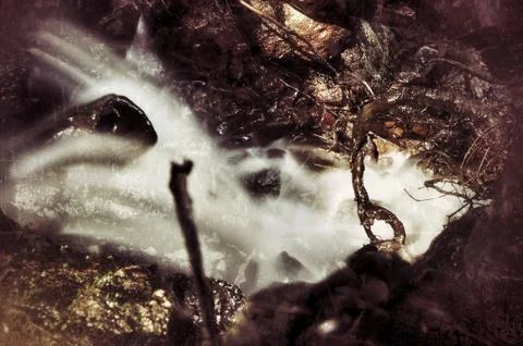Macro view on horror alien land with branches Stock Photos