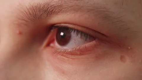 Macro view of human eye iris scan for biometric identification Stock Footage 347068954
