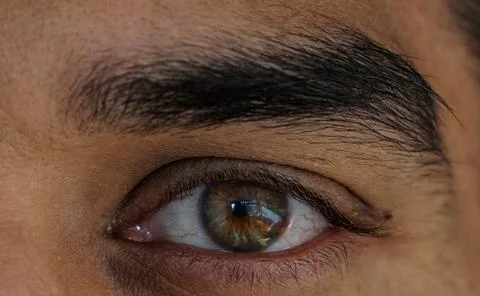 Macro view of human eye Stock Photos