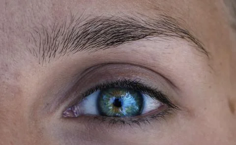 Macro view of human eye Stock Photos