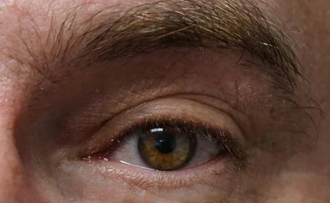 Macro view of human eye Stock Photos