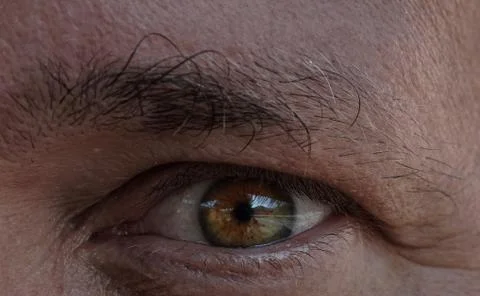 Macro view of human eye Stock Photos