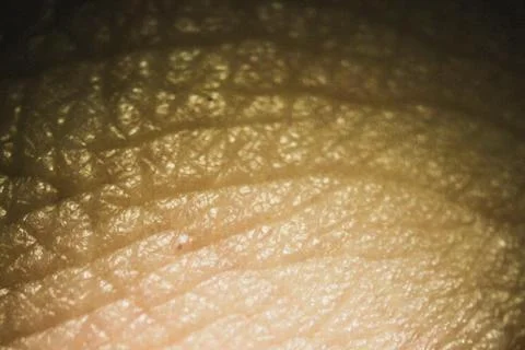 Macro view of the human's skin in the darkness, selective focus Stock Photos