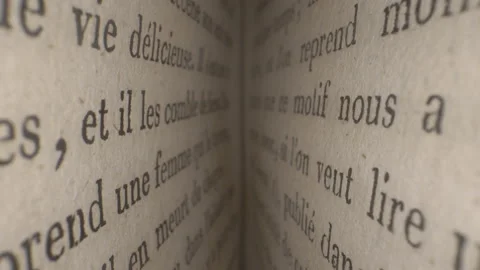 Macro view inside book slide dolly shot with laowa probe lens Video stock 233077667