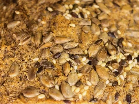 Macro View of Keto Bread Crust with Mixed Seeds Stock Photos