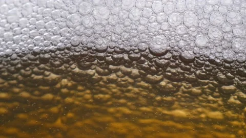Macro view of lager beer with bubbles bursting and white foam Stock Footage 139131619