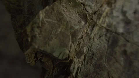 Macro view of layered rock surface. Stock Footage 289844886